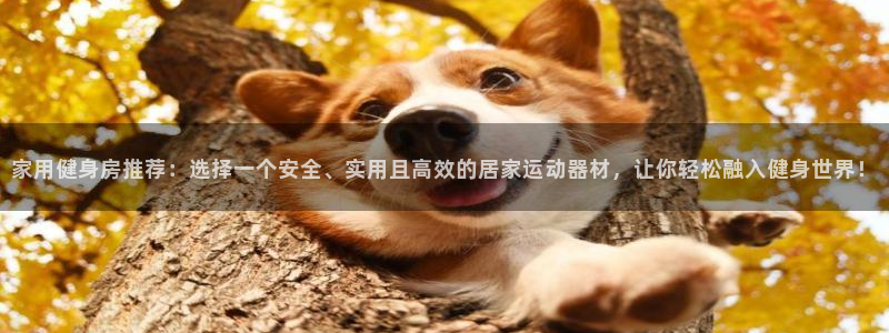 三亿体育官网下载平台：家用健身房推荐：选择一个安全、