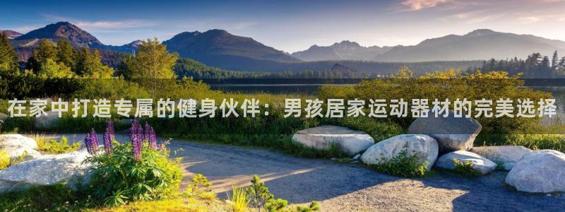 三亿体育官方正版app集团logo