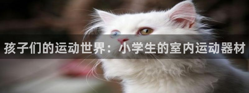 三亿体育官网下载是干嘛的公司：孩子们的运动世界：小学