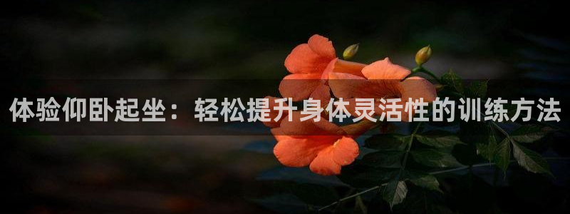 三亿体育官方正版app集团简介：体验仰卧起坐：轻松提升身体灵