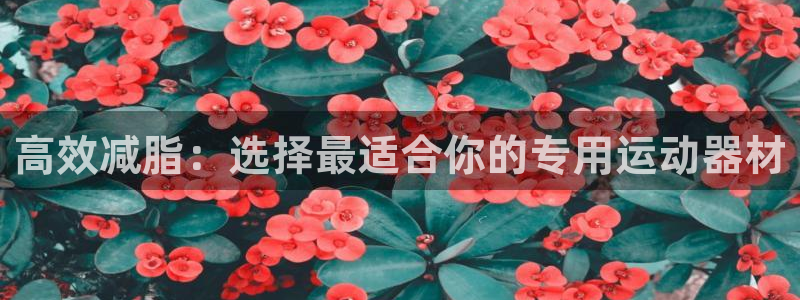 三亿体育官网下载招商电话号码