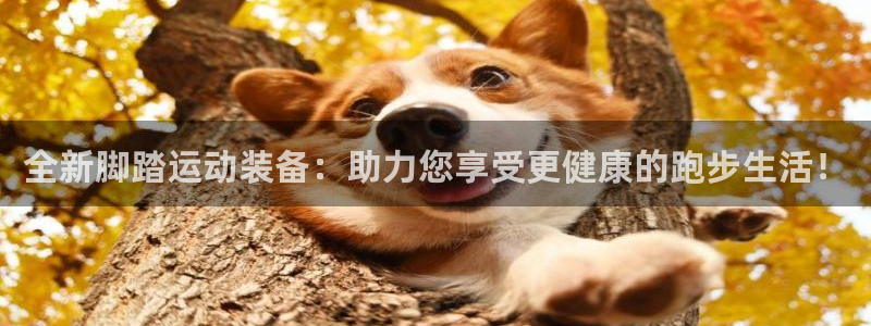 三亿体育官网下载招商电话是多少
