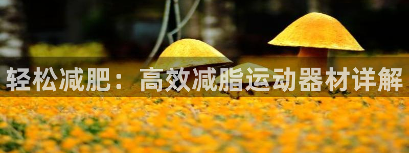 三亿体育官网下载平台注册流程图：轻松减肥：高效减脂运动器材详