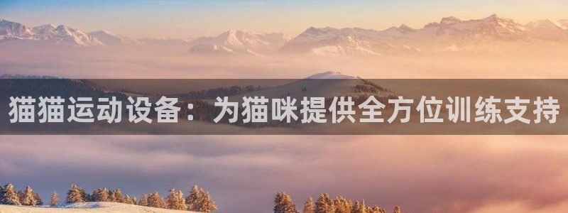 三亿官方平台体育：猫猫运动设备：为猫咪提供全方位训练支持