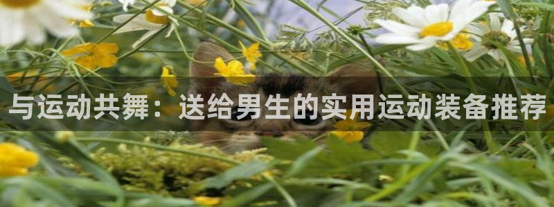 三亿体育官网下载平台注册要钱吗是真的吗：与运动共舞：送给男生