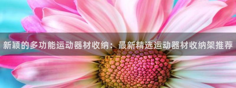 三亿体育官方正版app科技：新颖的多功能运动器材收纳：最新精
