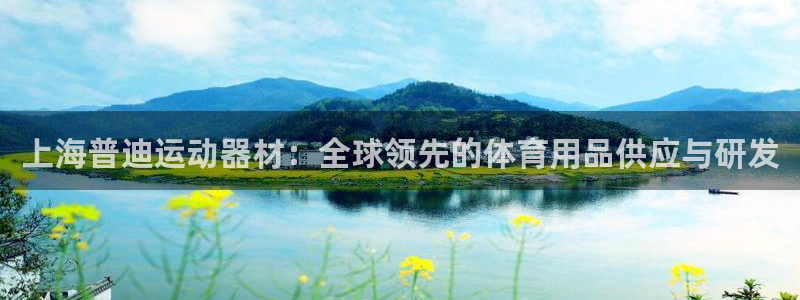 海南三亿体育官网下载：上海普迪运动器材：全球领先的体育用品供