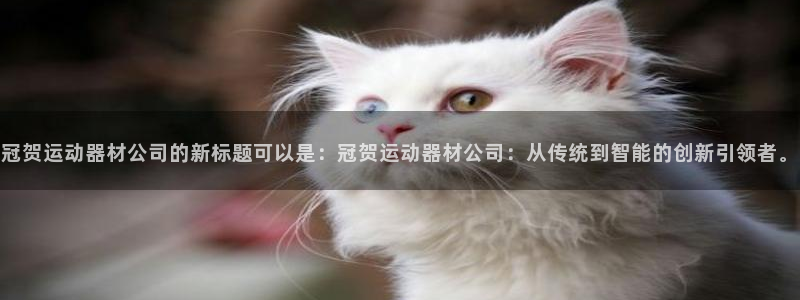 三亿体育官方正版app集团简介：冠贺运动器材公司的新