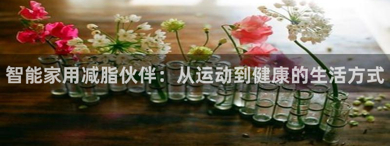 三亿体育官方正版app集团简介：智能家用减脂伙伴：从