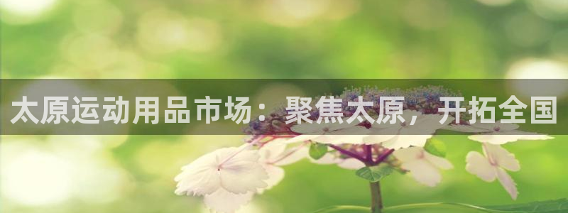三亿体育官网下载平台APP