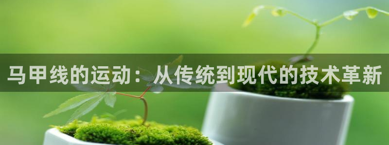 三亿体育官方正版app集团简介