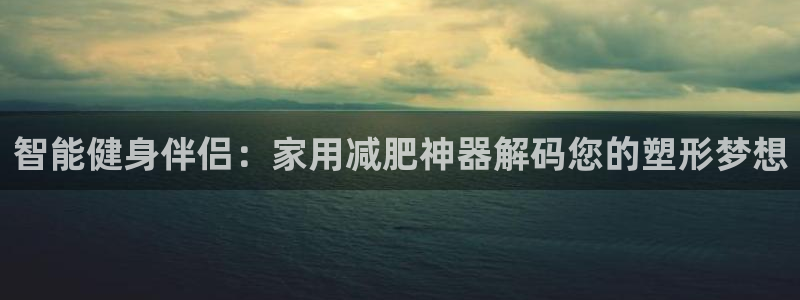 注册三亿体育官方正版app：智能健身伴侣：家用减肥神