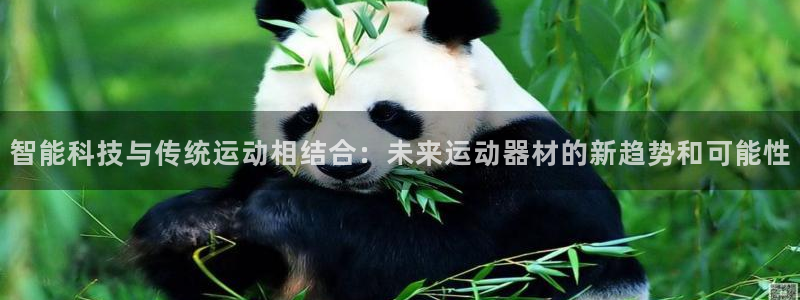 三亿体育官网下载招商电话地址：智能科技与传统运动相结合：未来