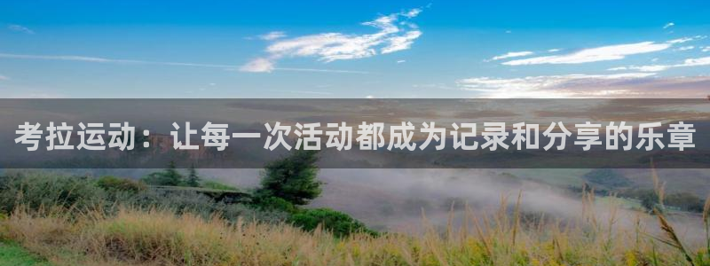 三亿体育官方正版app娱乐是那个系列的台子：考拉运动：让每一