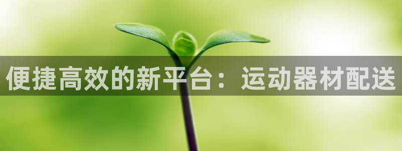 三亿体育官方正版app娱乐网站：便捷高效的新平台：运动器材配