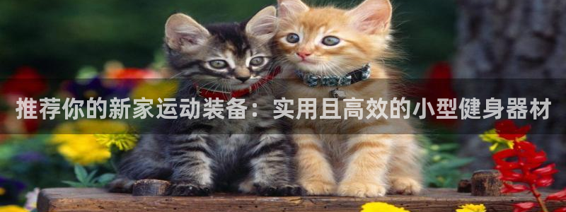 三亿体育官方正版app代理