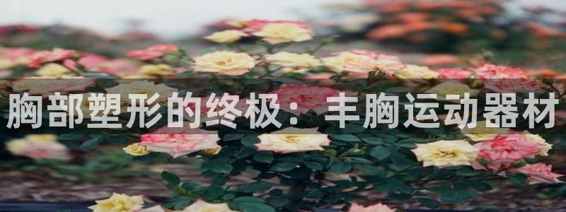 三亿体育官网下载招商电话号码：胸部塑形的终极：丰胸运