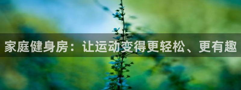 三亿体育官网下载招商：家庭健身房：让运动变得更轻松、更有趣