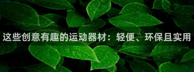 三亿体育官方正版app娱乐首页网站大全：这些创意有趣