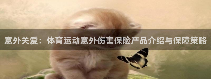 哈哈体育下载