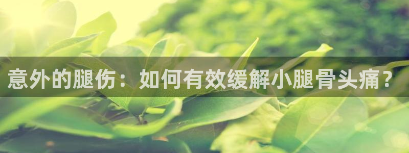 哈哈体育十年