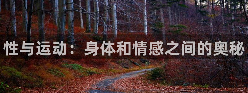 哈哈体育十年