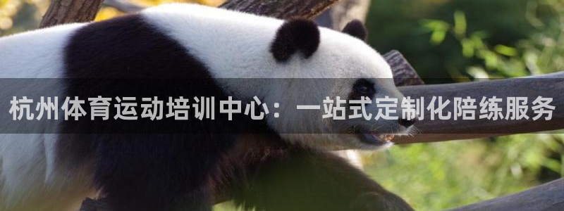 哈哈体育