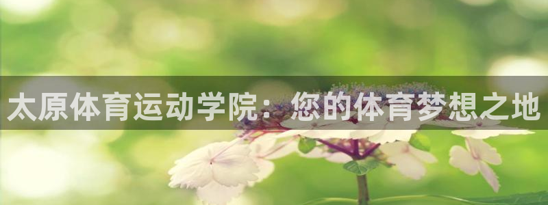 哈哈体育