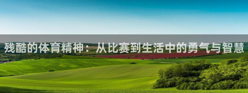 哈哈体育下载
