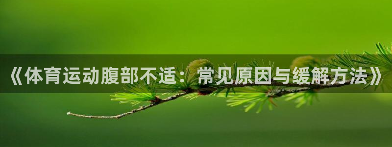 哈哈体育十年