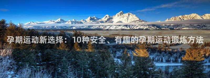 哈哈体育下载