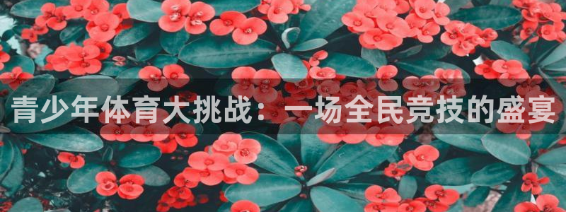 哈哈体育